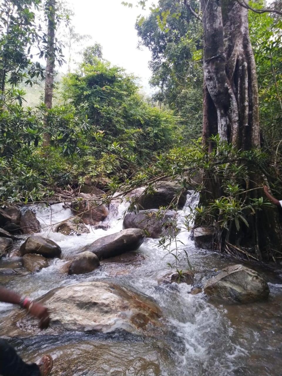 Kudayattur Mistywindvalley מראה חיצוני תמונה